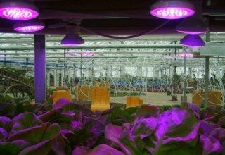 Рост светодиодных технологий на рынке света 